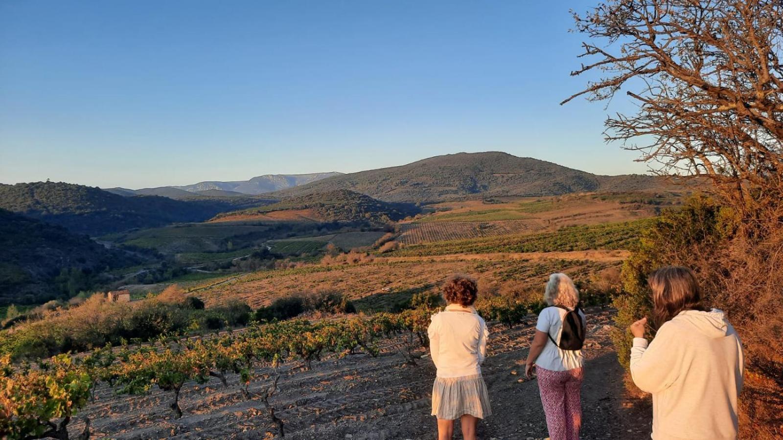 La Barbacane De Cascastel-des-Corbières المظهر الخارجي الصورة